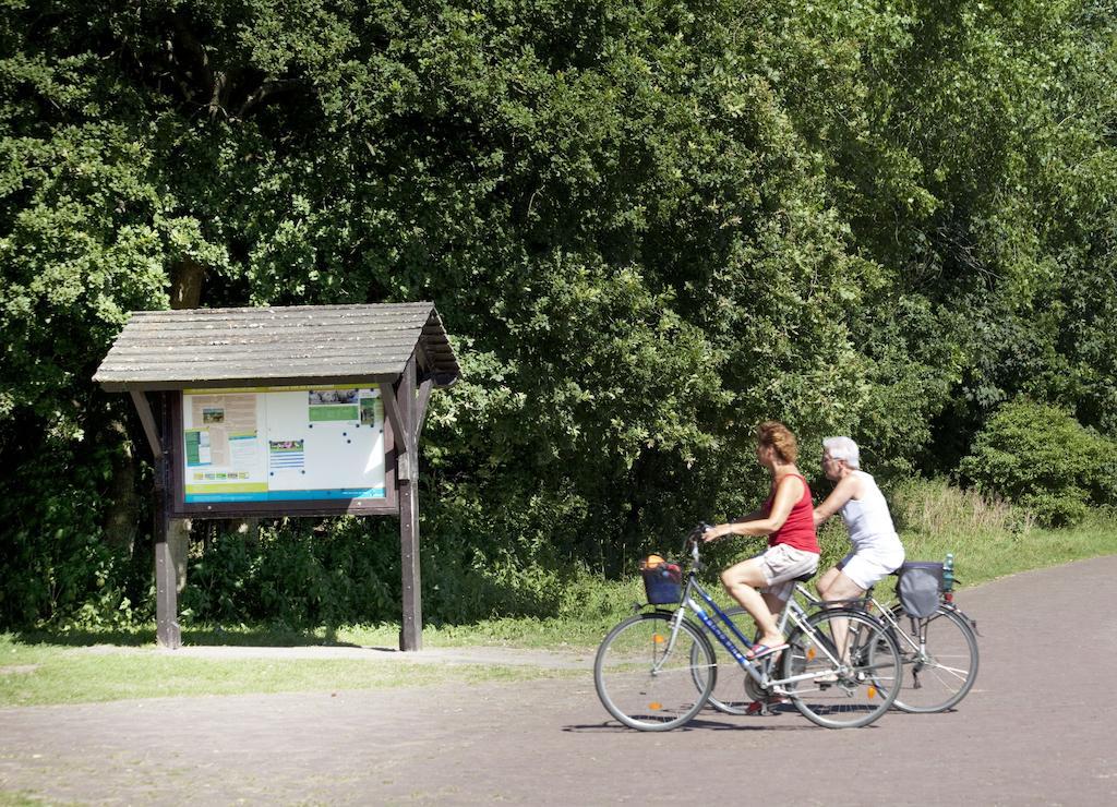 Bungalows - Bungalowpark Mooyeveld - Uniek Gelegen In De Duinen! 艾格蒙宾能 外观 照片