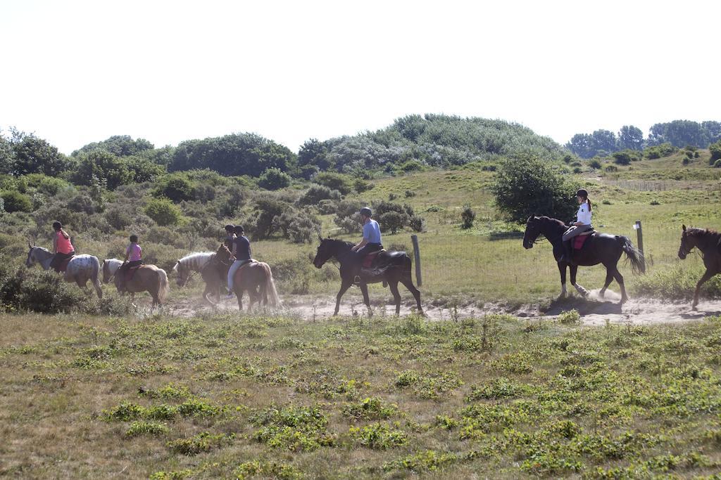Bungalows - Bungalowpark Mooyeveld - Uniek Gelegen In De Duinen! 艾格蒙宾能 外观 照片